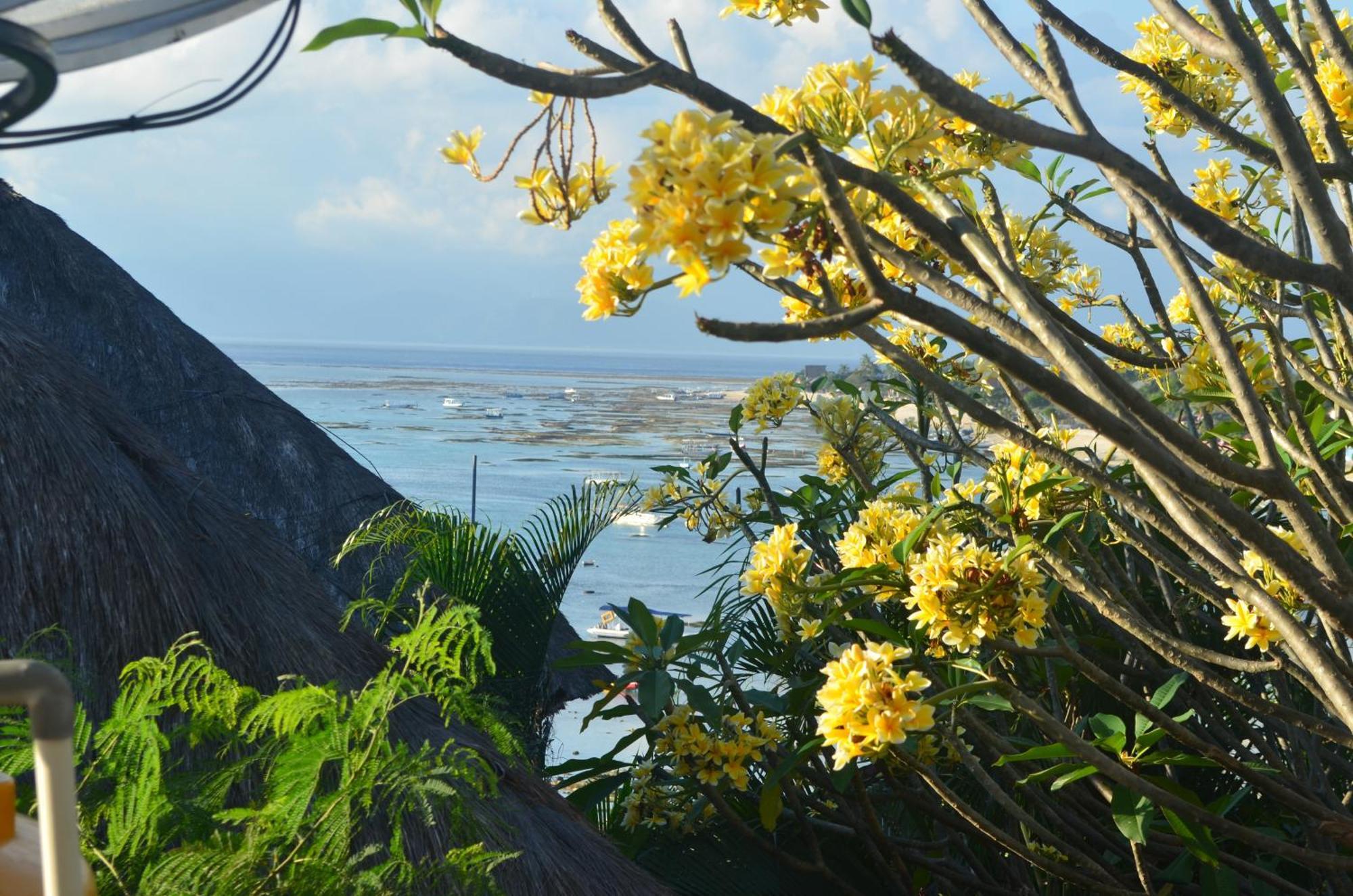 Aqua Nusa - Luxury Lembongan Villas ภายนอก รูปภาพ